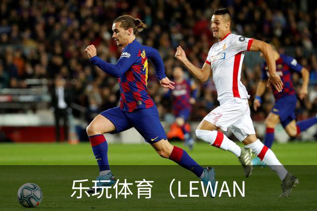 乐玩体育（LEWAN公司简介展示图